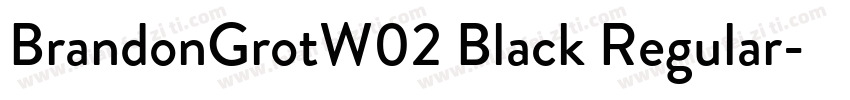 BrandonGrotW02 Black Regular字体转换